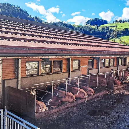 Schoenblick Mountain & Spa-2 By Interhome